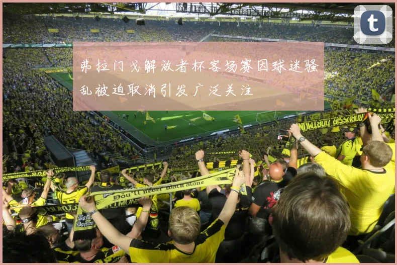 弗拉门戈解放者杯客场赛因球迷骚乱被迫取消引发广泛关注
