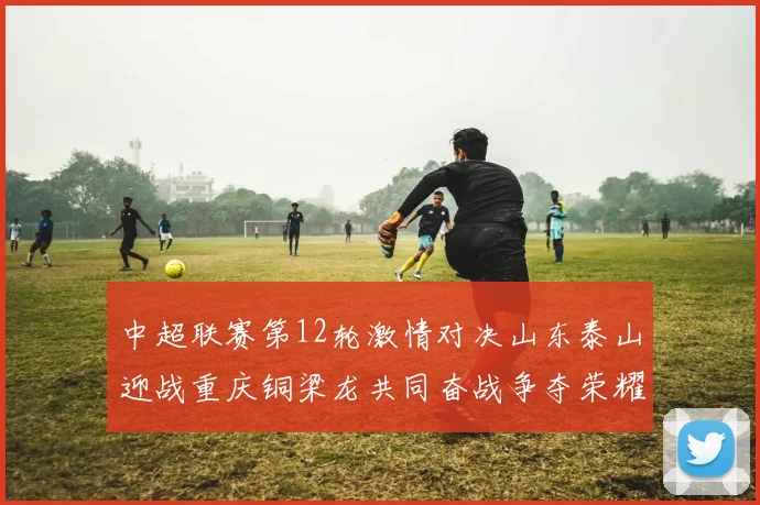 中超联赛第12轮激情对决山东泰山迎战重庆铜梁龙共同奋战争夺荣耀